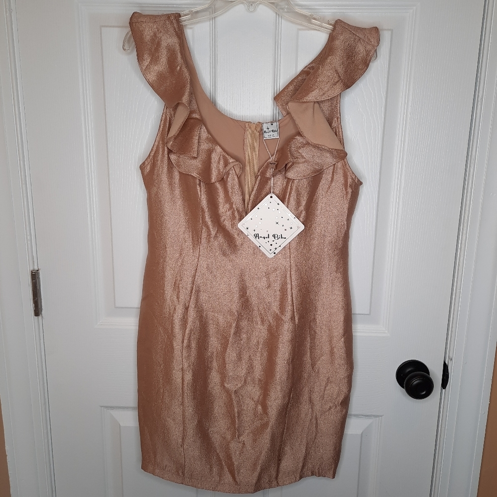 Rose Gold NWT angel Biba dress size large